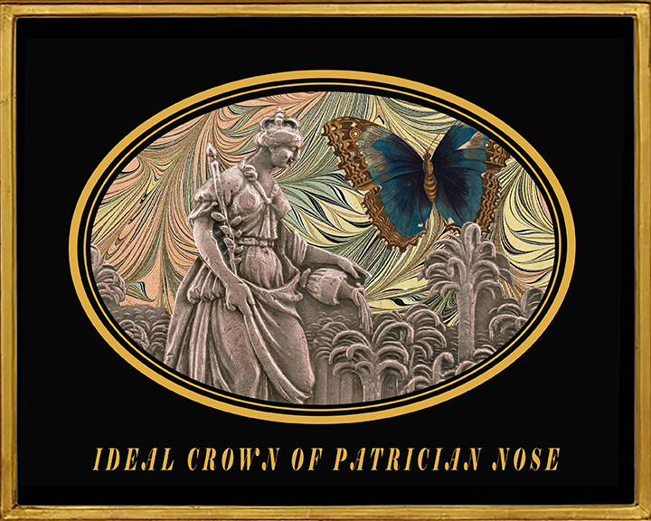 ideal crown of patrician nose